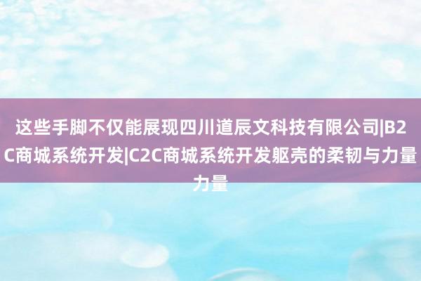 这些手脚不仅能展现四川道辰文科技有限公司|B2C商城系统开发|C2C商城系统开发躯壳的柔韧与力量